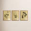 Petite Study Triptych Painting by Hannah Winters-1295908820