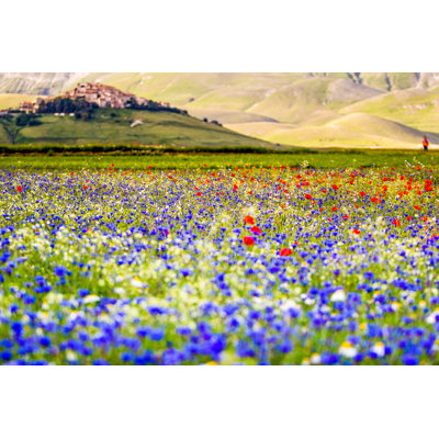 Castelluccio Di Norcia 1 Piece Wrapped Canvas Wall Art