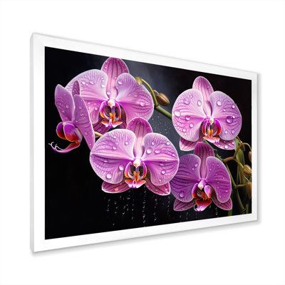 " Pink Orchids Oasis "