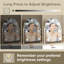 Miroir de salle de bain Hollywood