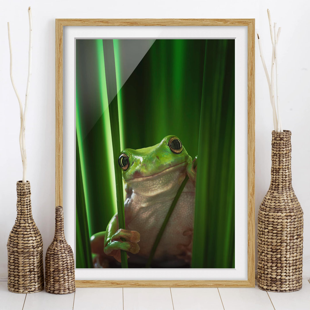 Gerahmtes Poster Happy Frog