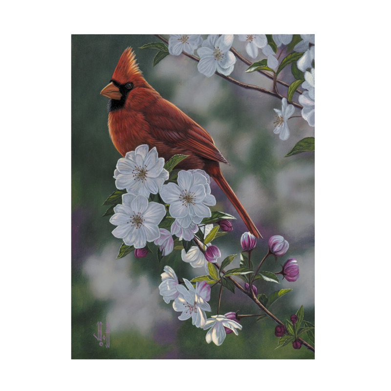 Art sur toile Jeff Hoff Cardinal, H 24 po x l 32 po