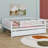 Daybed With Trundle And Fence Guardrails-1768352871