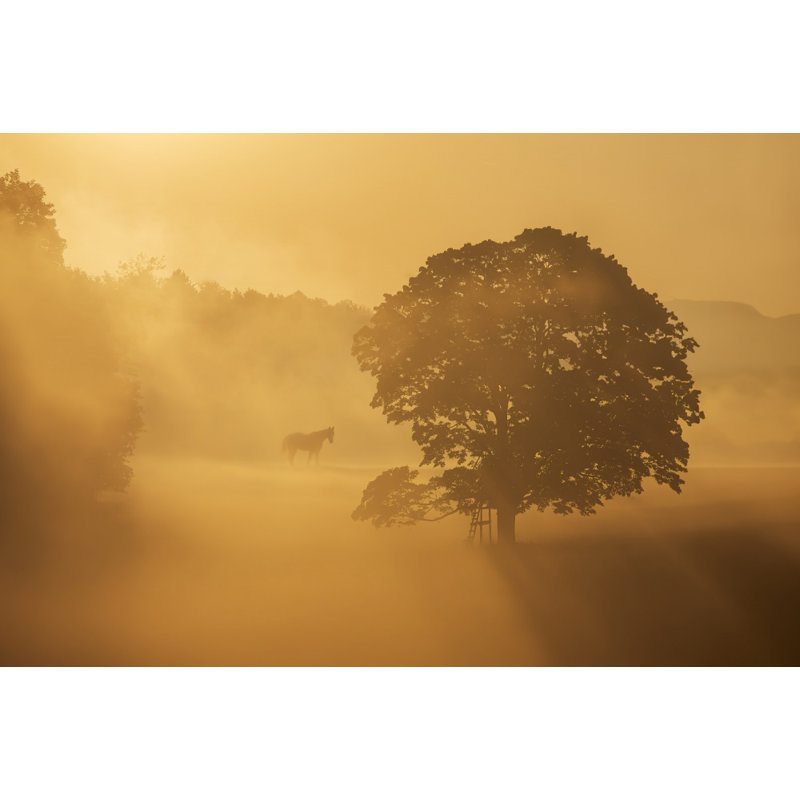 Wrapped Canvas Print