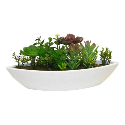 Arrangement floral succulent jardin de fées
