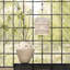 Strand 1 - Light Pendant-879450005