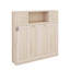 Lit escamotable double avec armoires