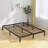 Kremmling 10" Platform Bed-1664134631