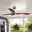 Alianny Ceiling Fan with Light Kit-7007418