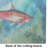 Salmon Glass Cutting Board Large