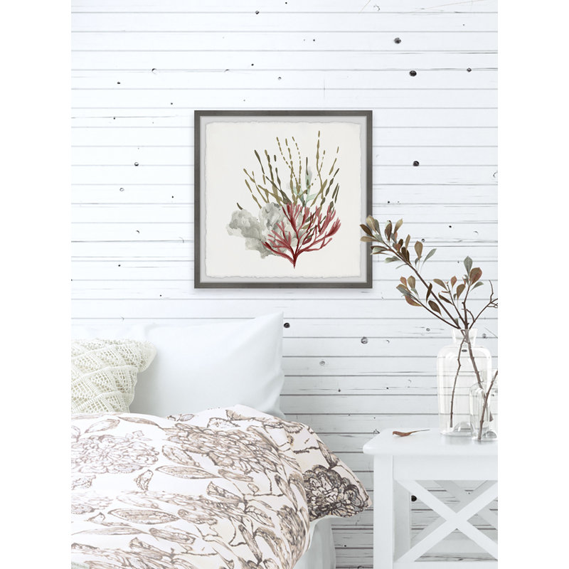 Sea Vegetables - Single Picture Frame Print, 30cm H x 30cm W x 3.81cm D