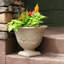Pot de fleurs d'extérieur rond en polyrésine de 16 po x 16 po x 13 po Darcy-335908185-335908183