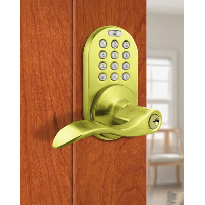 Levier de porte électronique