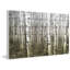 « aspen highland » par parvez taj,, reproduction d’art sur bois blanc