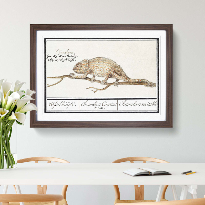 Chameleon by A.B. De Boodt - Picture Frame Painting Print, Walnut Framed, 48cm H x 65cm W x 2cm D