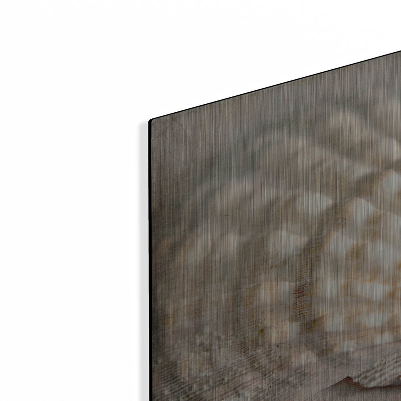 " Under the Sea 04 " Print, 12" H x 12" W