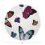 Napperon Butterflies-118302022