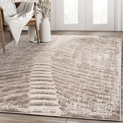 Indoor Rug