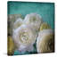 «Yellow Ranunculus B» par Judy Stalus, reproduction de photo sur toile tendue-16029596