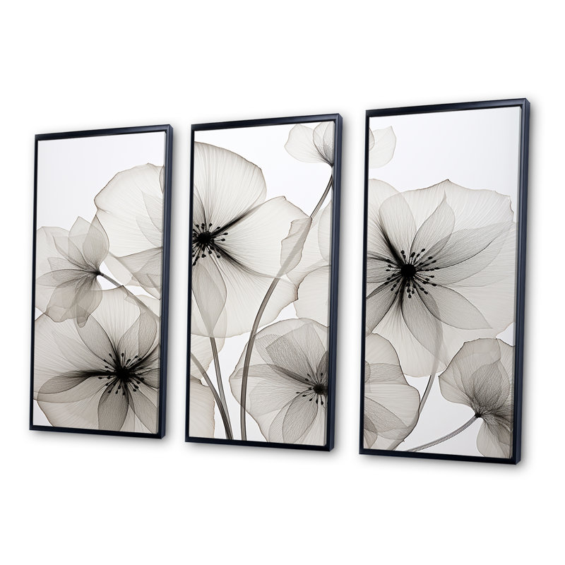 «Black and White Morning Glory Speed» - ensemble d'art mural sur toile Morning Glory, Cadre flottant noir