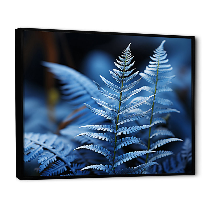 " Ferns Sapphire Tranquillity ", Cadre flottant noir, H 24 po x l 32 po x P 1 po