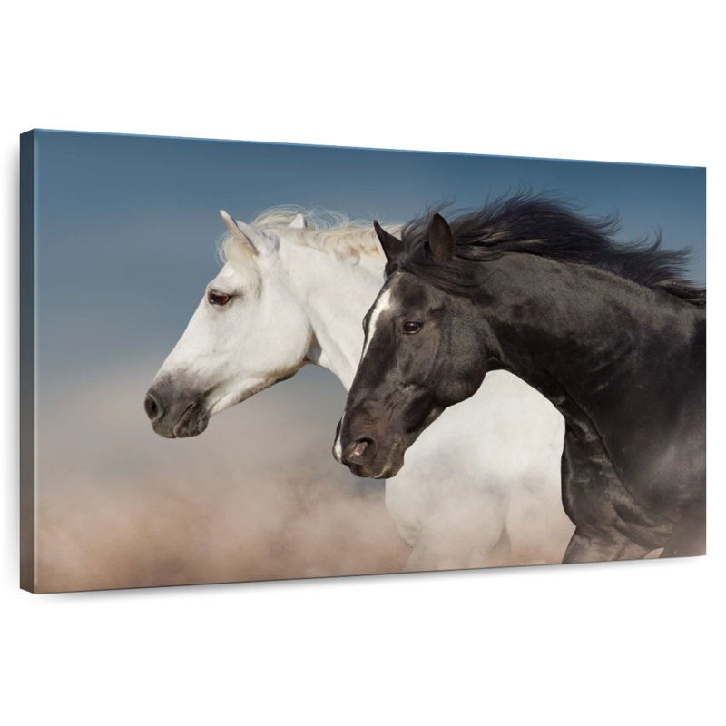 White And Black Horses, 20" H x 30" W