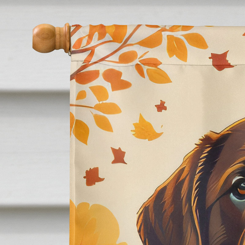 Drapeau chocolat maison Labrador Retriever