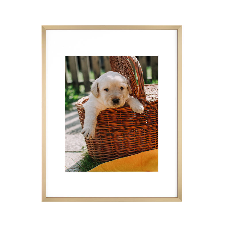 Metal Rectangular Picture Frame with Mat, Gold