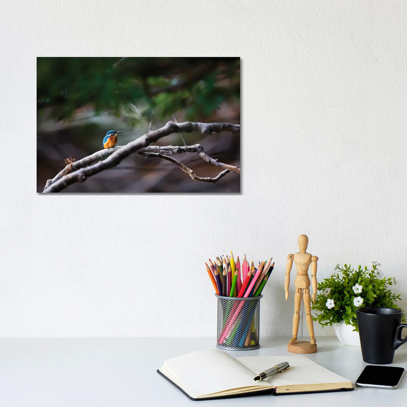 Kingfisher by Mateusz Piesiak - Wrapped Canvas Print, 20.32 cm H x 30.48 cm W