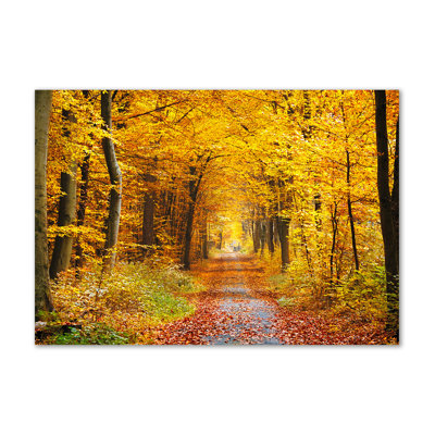 Autumn Forest - Wrapped Canvas Print