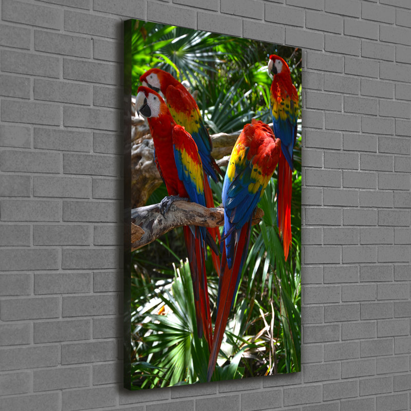 Macaw Parrots - Wrapped Canvas Print