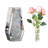 Cerrie Glass Table Vase With Water Holder Container