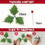 Festive Christmas Holly Leaf-647728354
