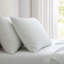 Ensemble de draps en coton percale Martha Stewart-115629658-123293183