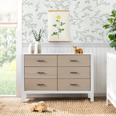 Radley 6-Drawer Dresser -  Carter's by DaVinci, F23226WCWD