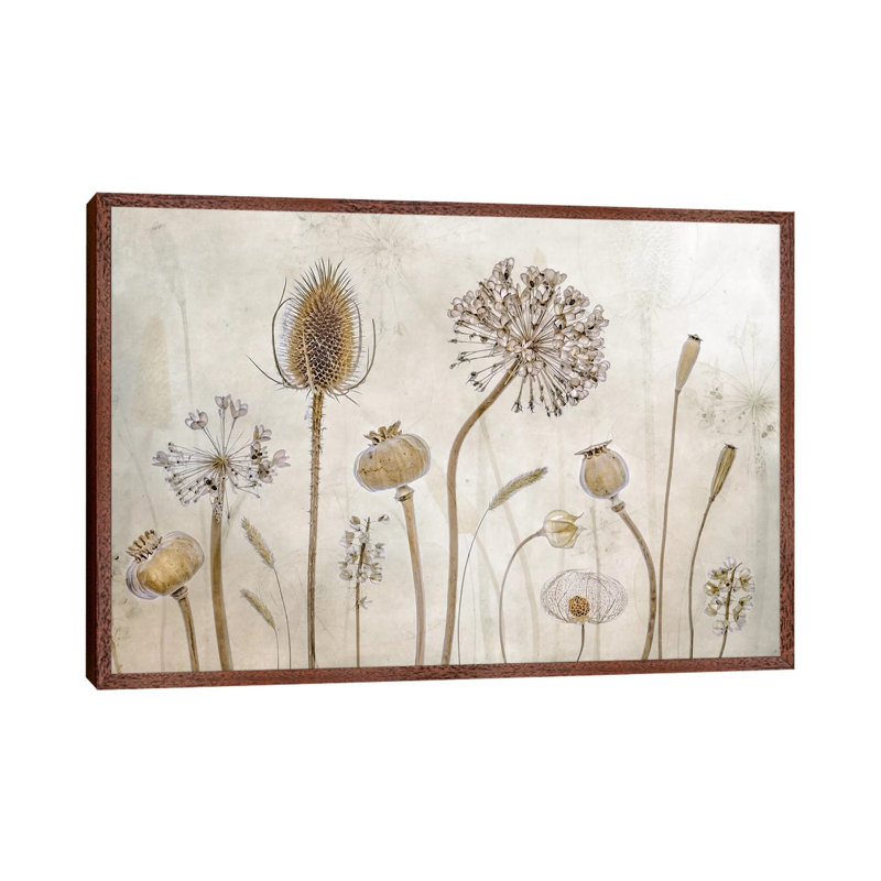 Growing Old by Mandy Disher - Print on Canvas, Classic Brown Wood Framed, 66.04cm H x 101.6cm W x 3.81cm D