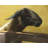 Young Ram Brown Western Placemat | Polyester Home Decor