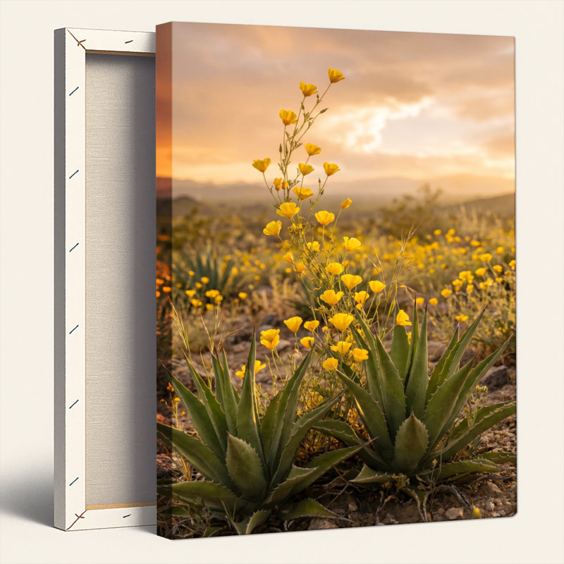 Ensemble de 1 tableau sur toile Desert Bloom, H 24 po x l 18 po, Toile tendue
