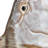 Amkit Stoneware Wall Vase
