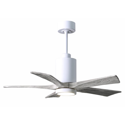 Patricia 42'' Ceiling Fan with LED Lights
