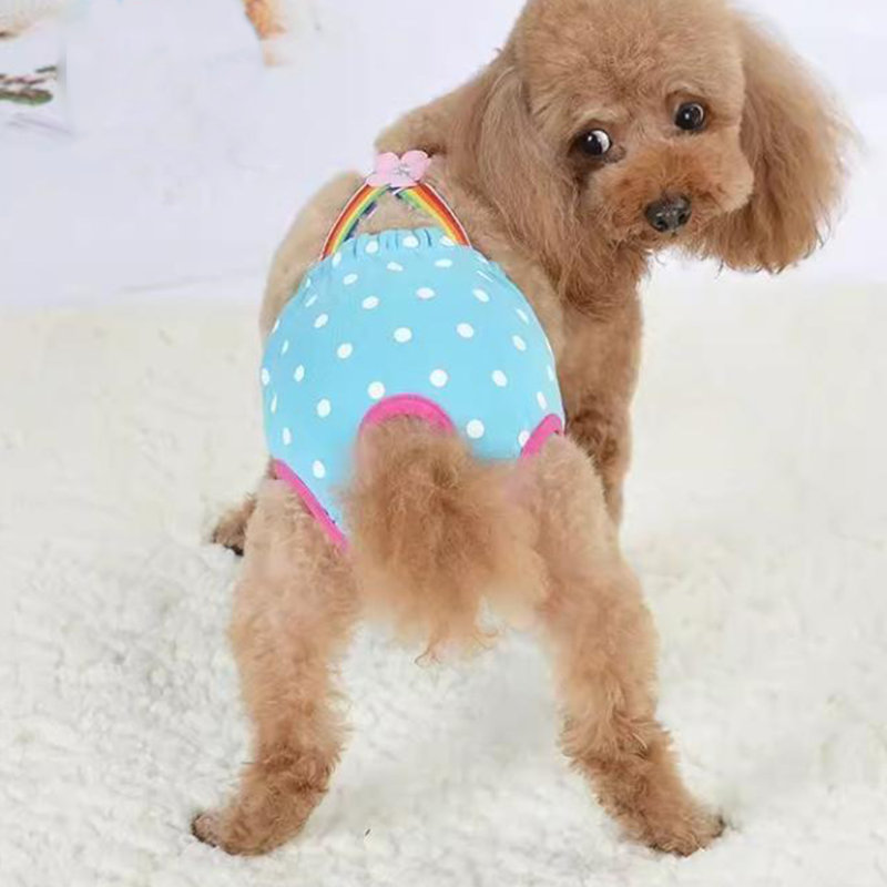 Culottes hygiéniques pour chien, pantalons pour chien avec combinaisons pour chien, S, Bleu