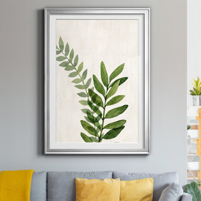 " Botanical Wash II "