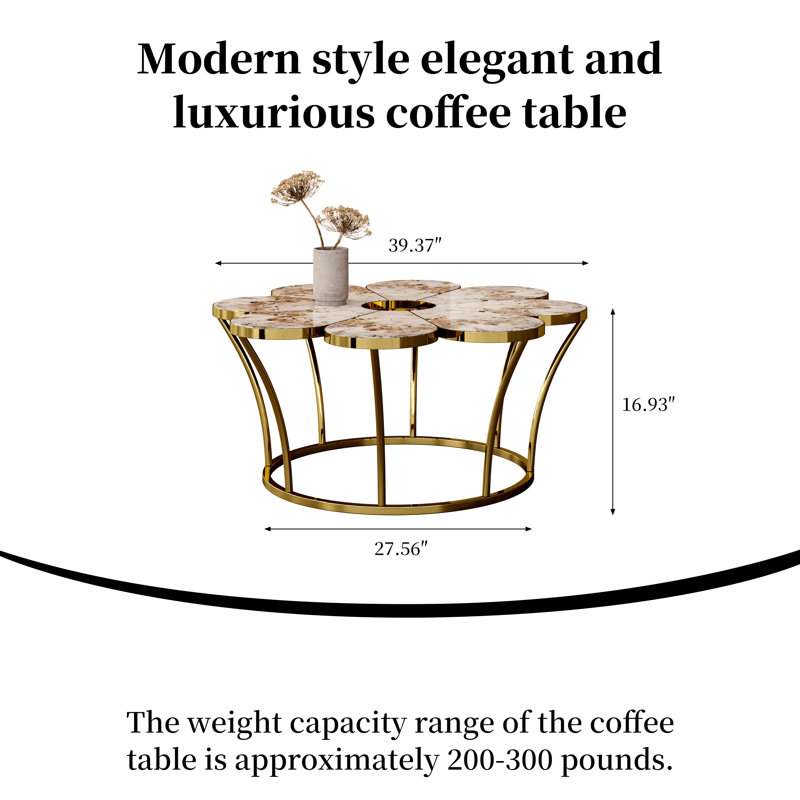 Coffee Table with Storage