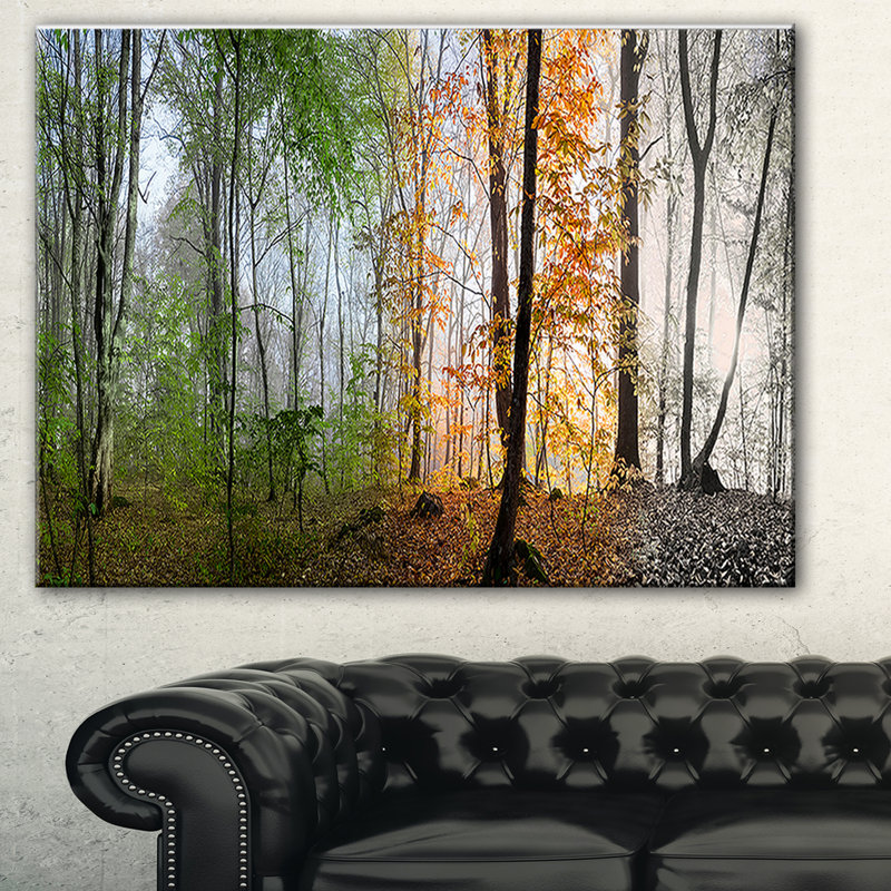 Morning Forest Panorama Framed Canvas Print in Green and Orange