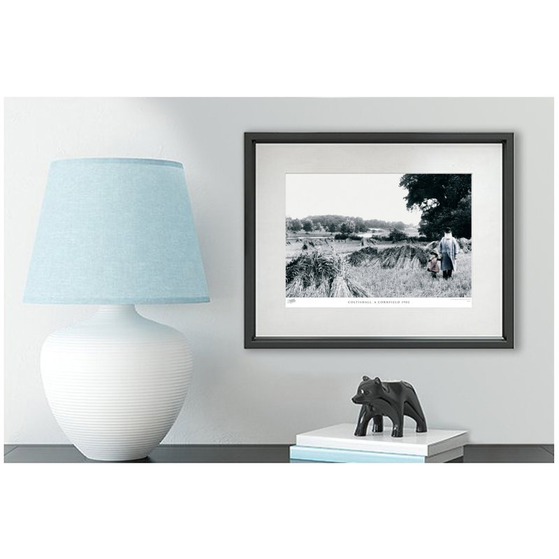 Coltishall, A Cornfield 1902 by Francis Frith - Single Picture Frame Print, 28cm H x 36cm W x 2.3cm D