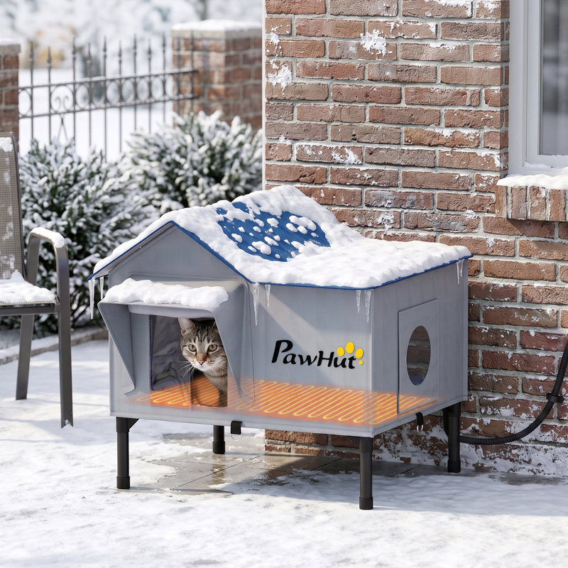 55 cm H Cat Accessories