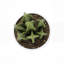 Plantes artificielles en pot 6 po