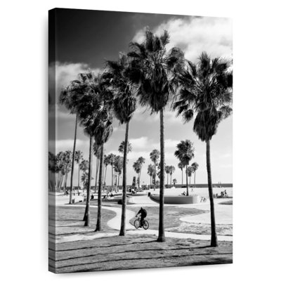 Sireci Venice Beach Skate Park