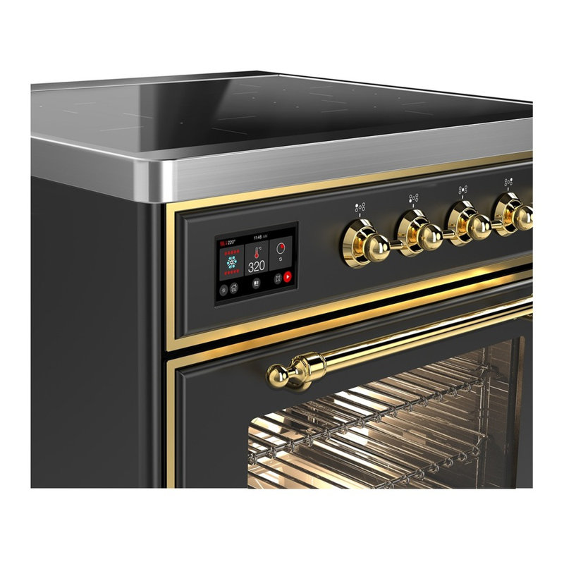 Majestic III Series 30 Inch Induction Range with 4 Induction Elements in Matte Graphite (Brass Trim), Brass, Matte Graphite
