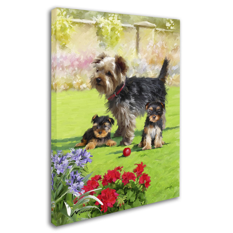 «Armand Yorkie Puppies» par Armand, reproduction sur toile, H 19 po x l 14 po x P 2 po